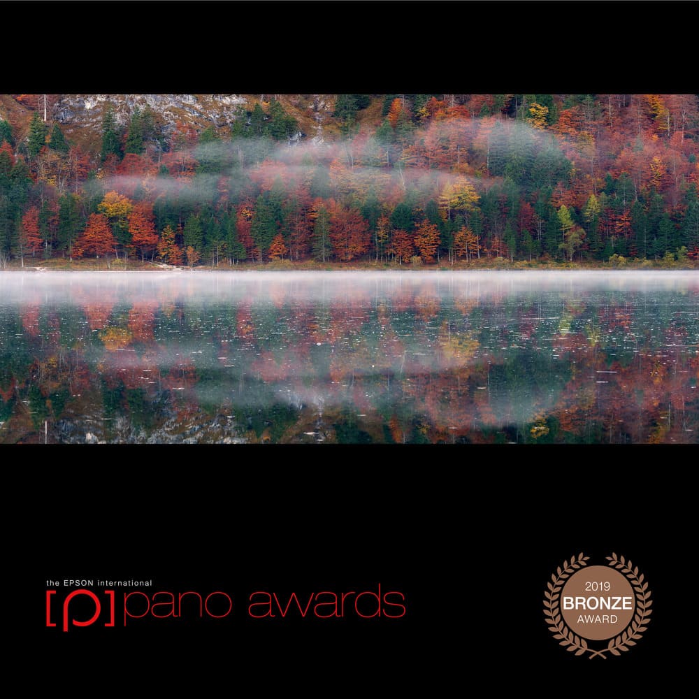 2019 Epson Pano Awards - Bronze