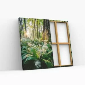 Fotoobraz na plátně - 100 x 50 cm